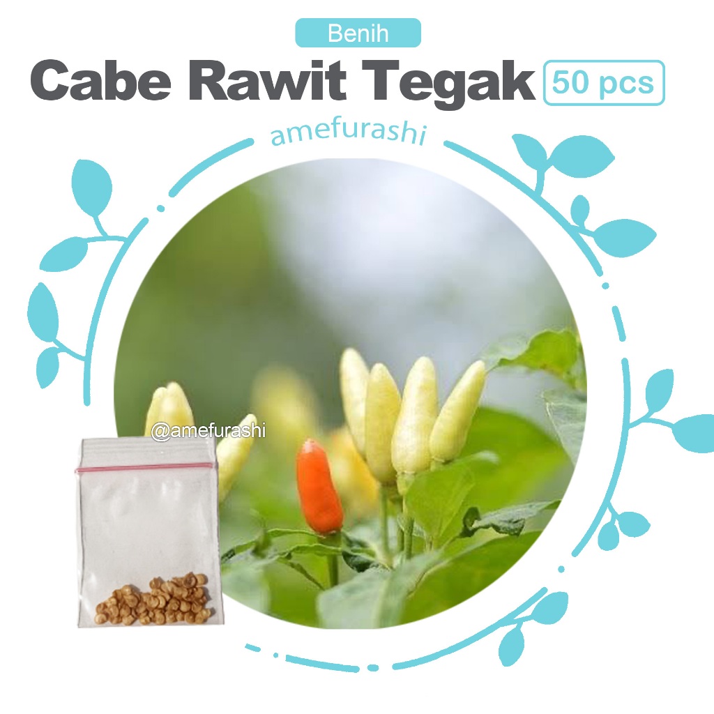 Benih 50 Biji Cabe Rawit Tegak Mudah Tumbuh