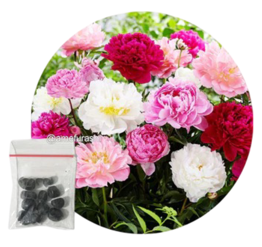 Tanaman Sehat, Hasil Memuaskan