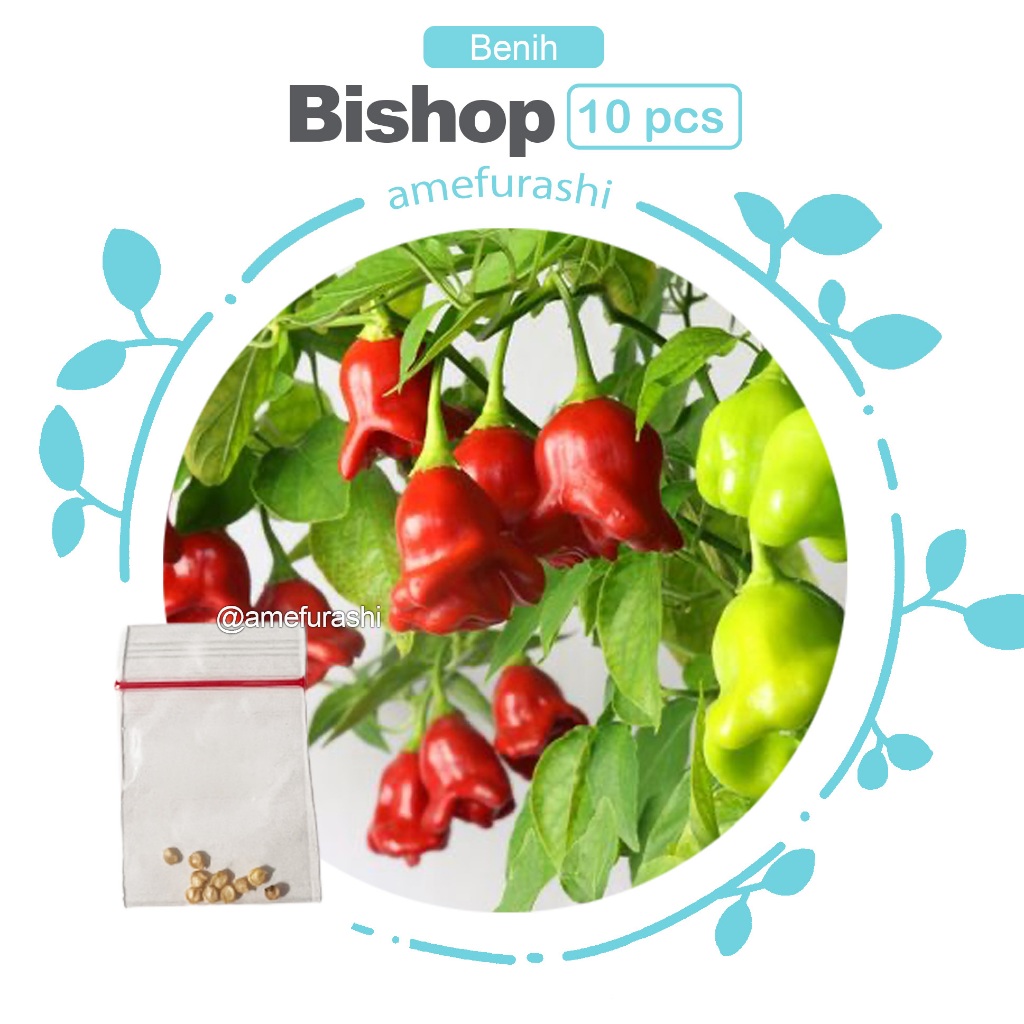 Benih 10 Biji Cabe Bishop Crown Pepper Cabe Unik Bentuk Mahkota