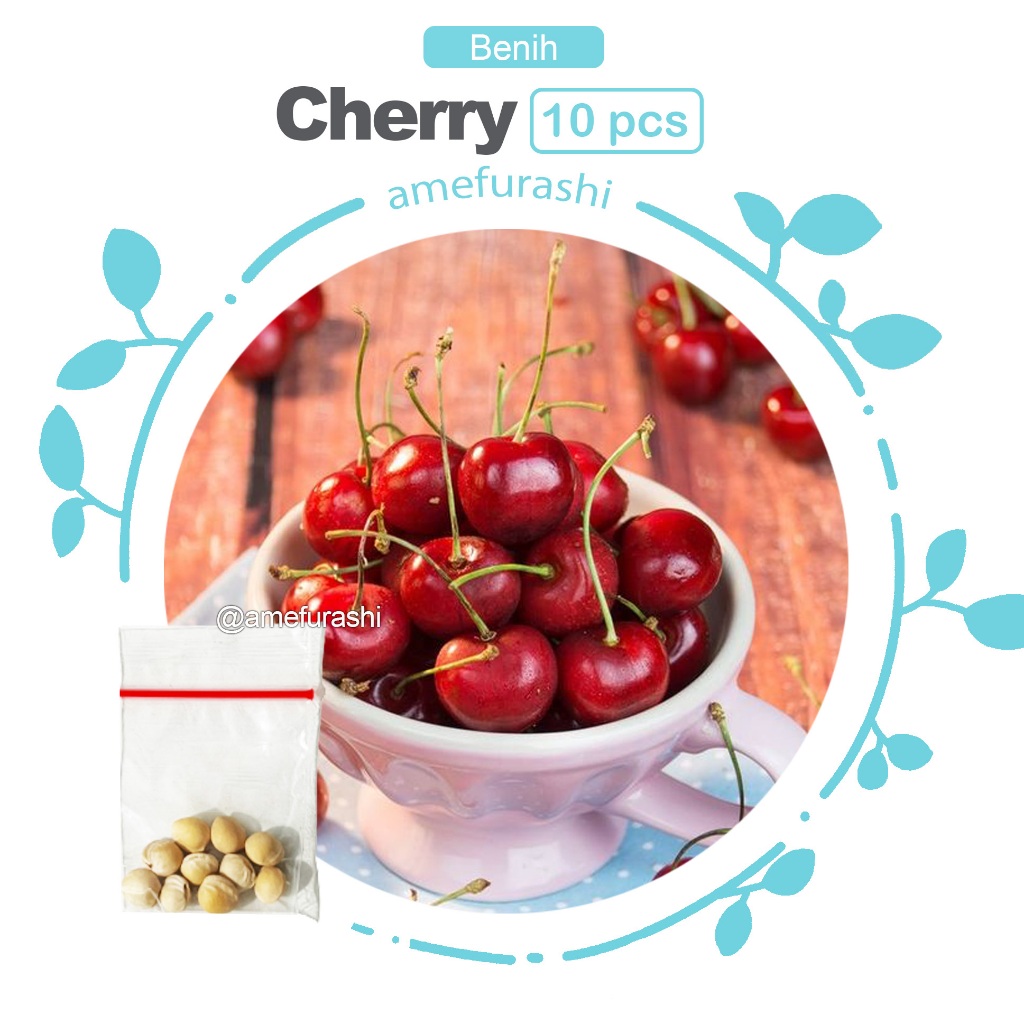 Benih 10 Biji Buah Cherry Untuk Ditanam di Rumah